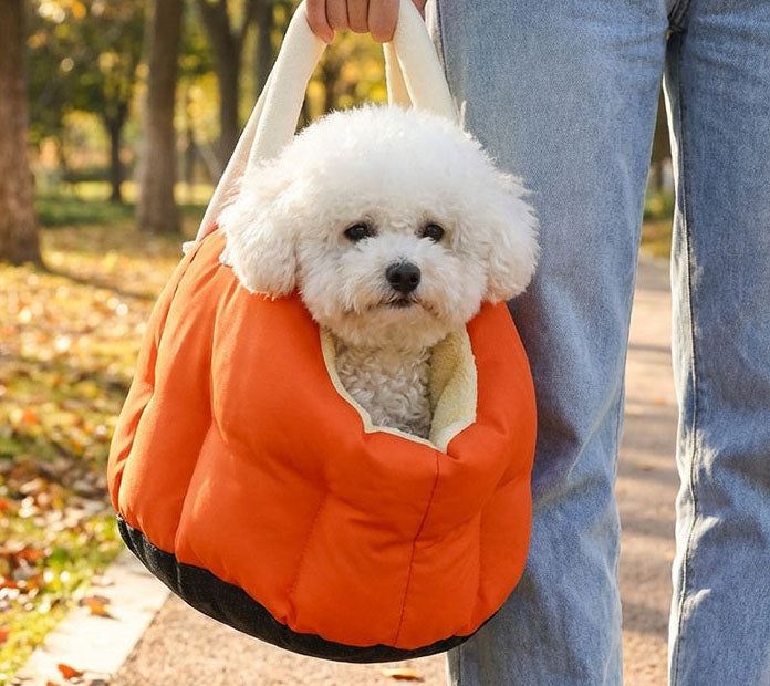 Small white dog in an orange pet carrier held by a person outdoors.