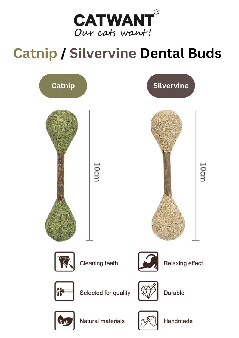 Crown & Whiskers Silvervine Dental Buds Cat Toy – Natural Catnip Chew & Teeth Cleaning Stick