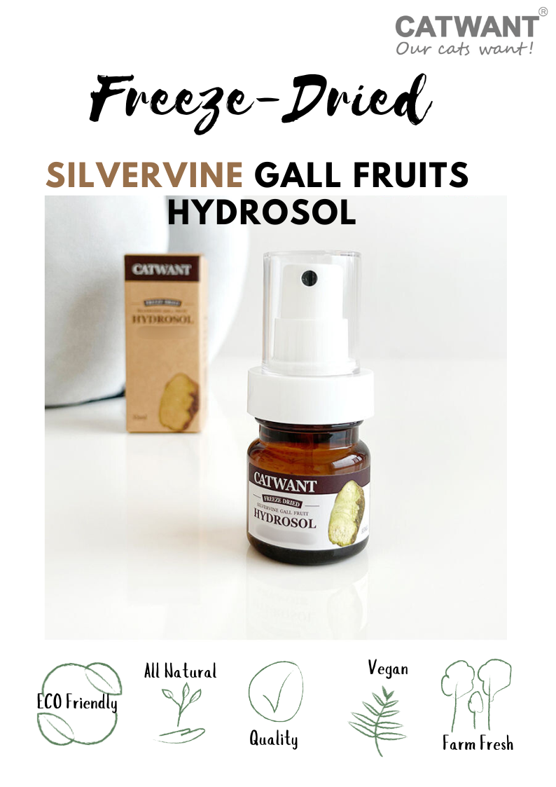 Catwant freeze-dried silvervine gall fruits hydrosol with a spray bottle on a white background