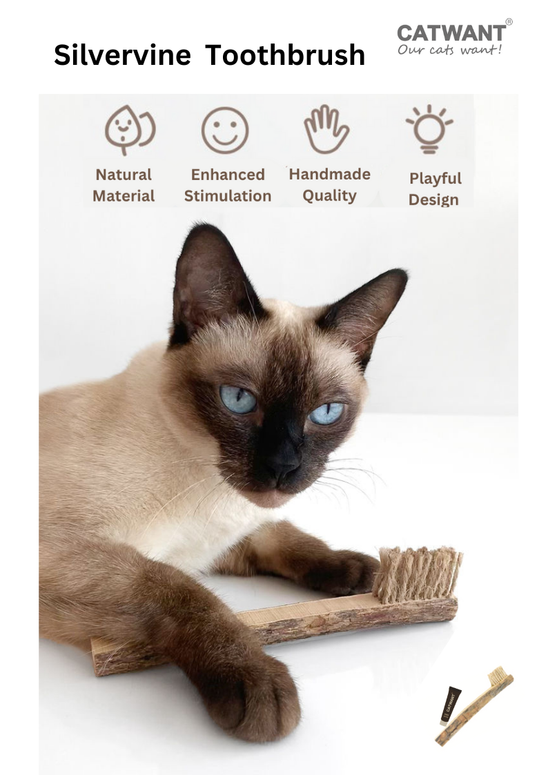 Crown & Whiskers Silvervine Toothbrush Cat Toy – Natural Chew Stick with Catnip Powder