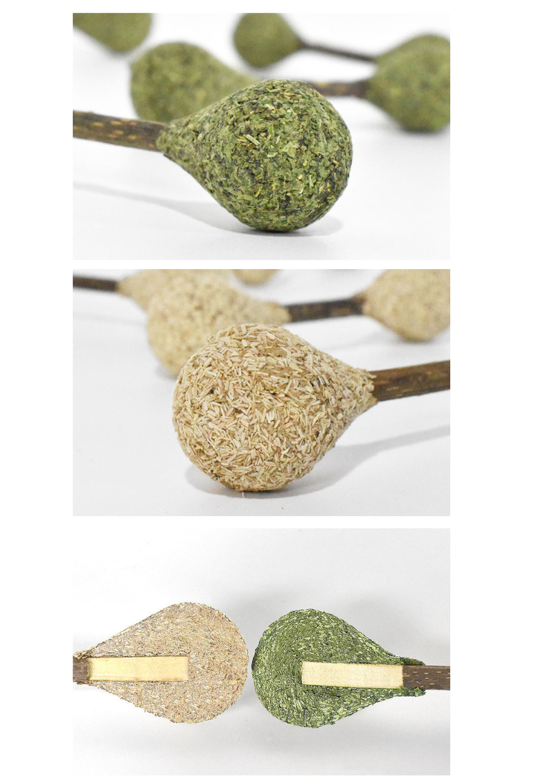 Crown & Whiskers Silvervine Dental Buds Cat Toy – Natural Catnip Chew & Teeth Cleaning Stick