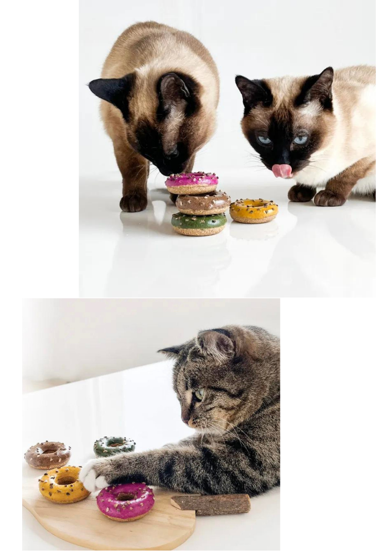 Three cats interacting with colorful catnip cookies on a white background