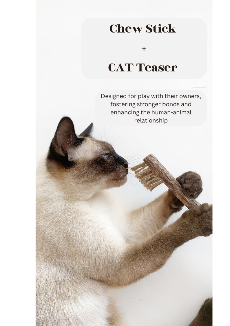 Crown & Whiskers Silvervine Toothbrush Cat Toy – Natural Chew Stick with Catnip Powder