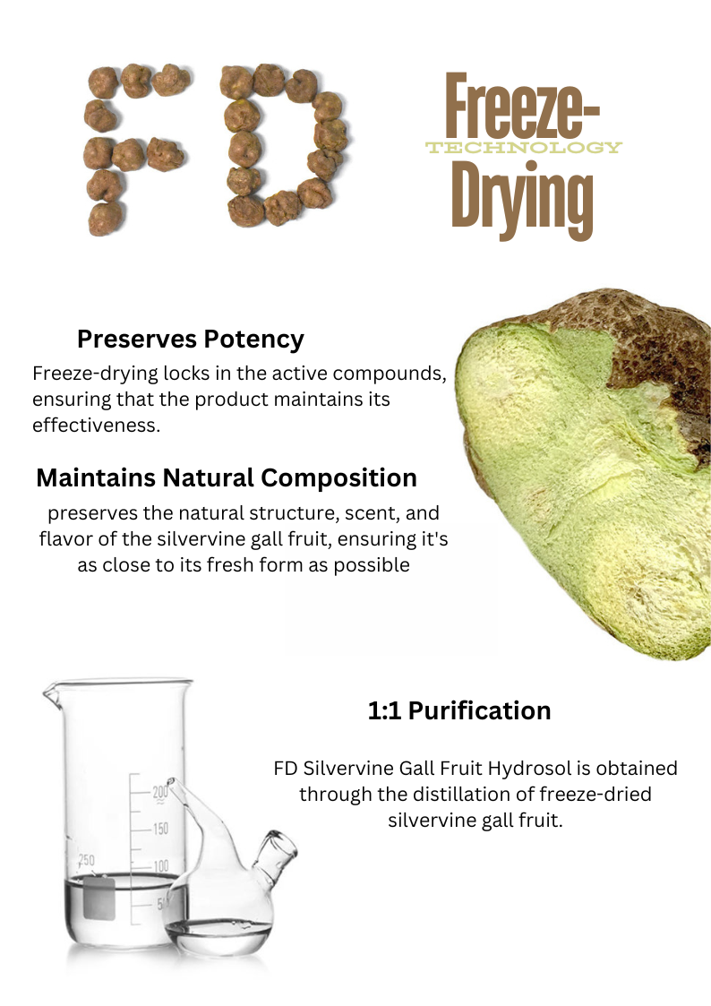 Advertisement for freeze-drying technology with text and images of a silvervine gall fruit and beaker.