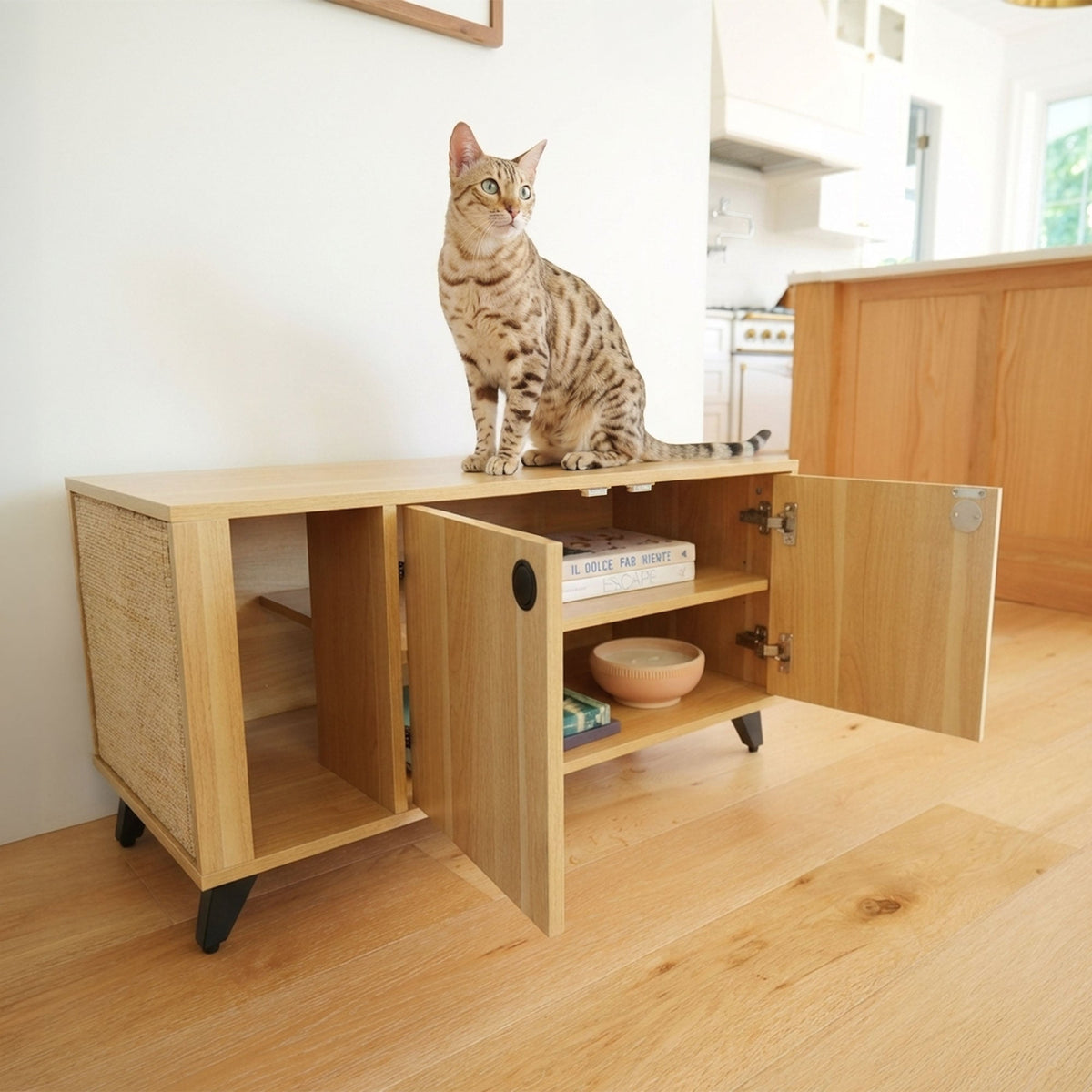 Cat sitting on a wooden cabinet with open doors in a kitchen.