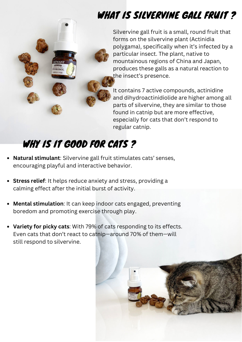 Bottle of silvervine gall fruit with a cat and text explaining its benefits for cats.