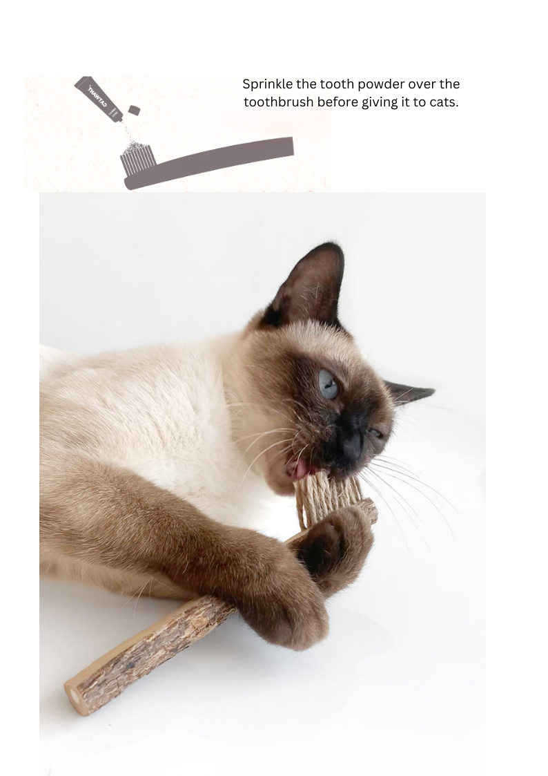 Crown & Whiskers Silvervine Toothbrush Cat Toy – Natural Chew Stick with Catnip Powder