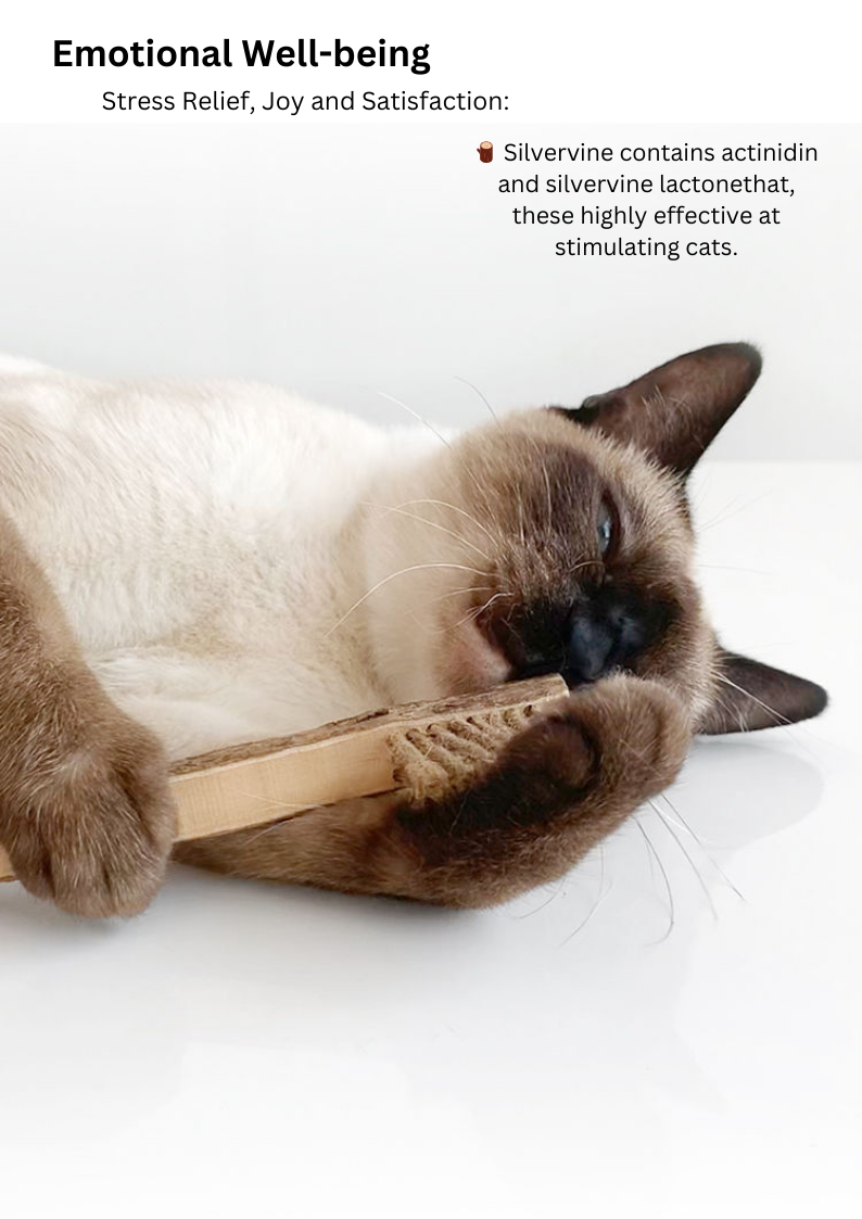 Crown & Whiskers Silvervine Toothbrush Cat Toy – Natural Chew Stick with Catnip Powder