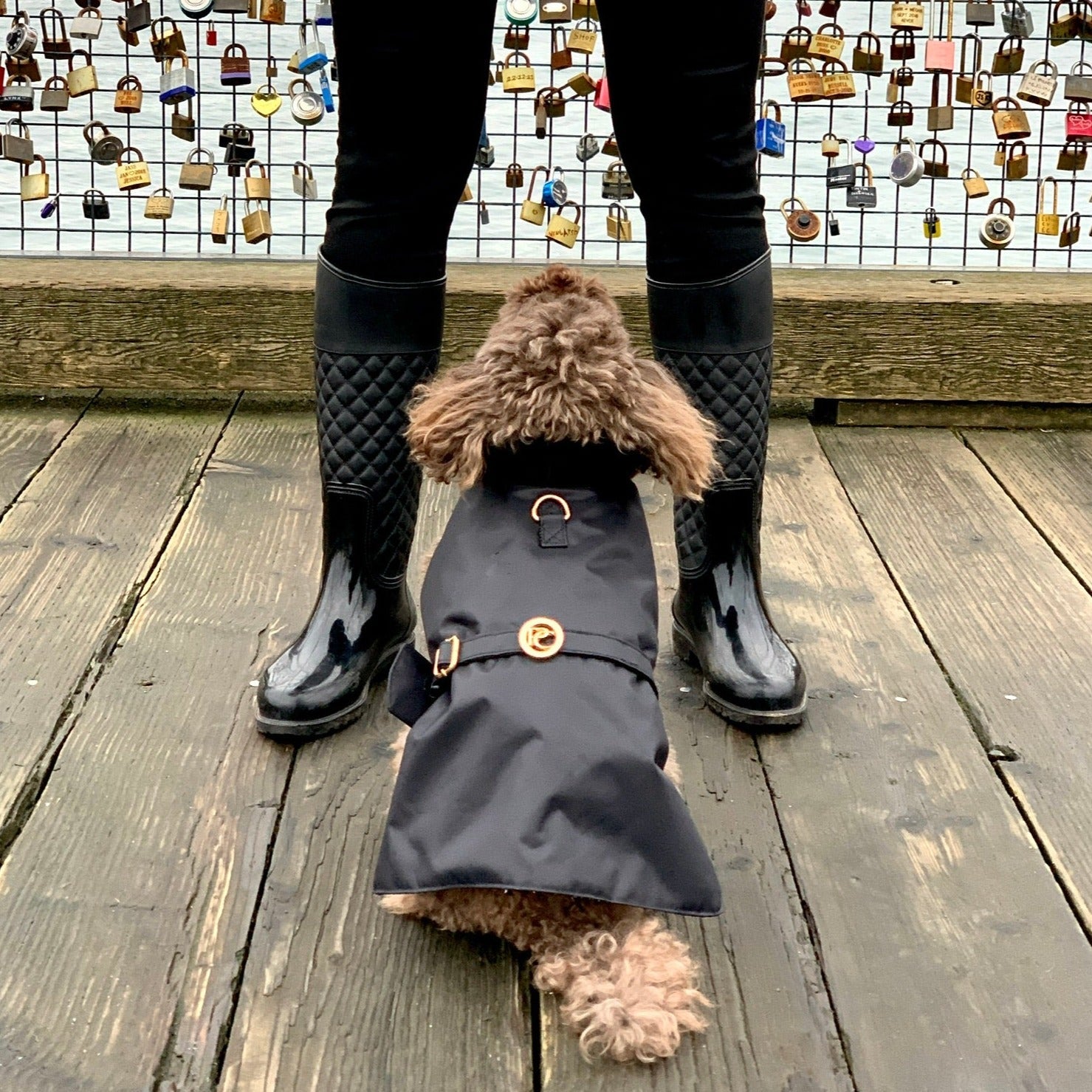 Black Dog Rain Jacket | Waterproof Insulated Dog Coat with Matching Leash