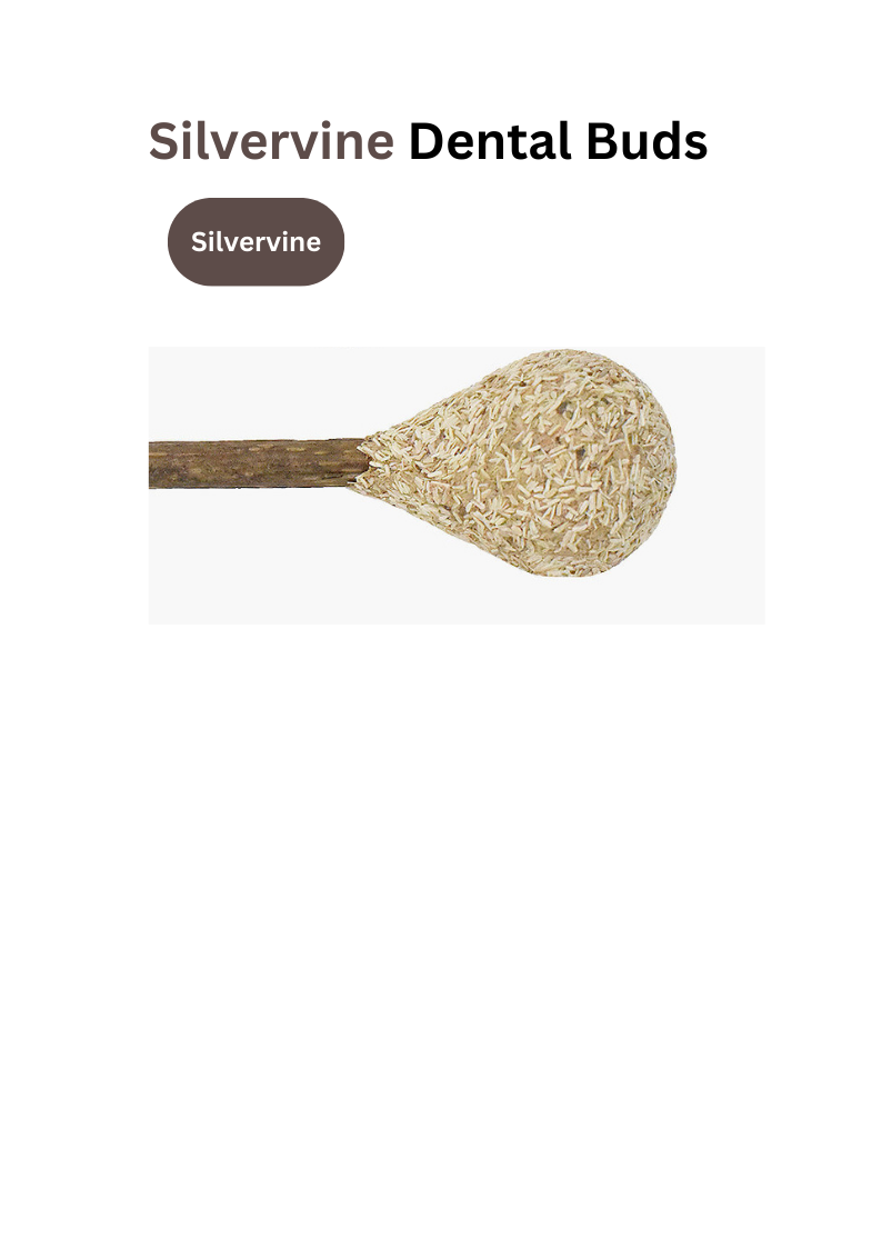 Crown & Whiskers Silvervine Dental Buds Cat Toy – Natural Catnip Chew & Teeth Cleaning Stick