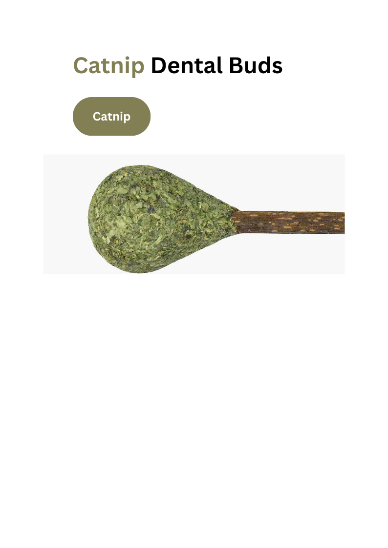Crown & Whiskers Silvervine Dental Buds Cat Toy – Natural Catnip Chew & Teeth Cleaning Stick