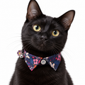 A black cat wearing a decorative floral bow tie collar with a silver bell, photographed against a clean white background.