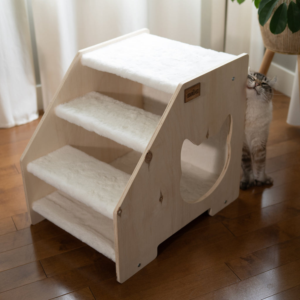 Modern wooden cat stairs with hideaway in a contemporary home