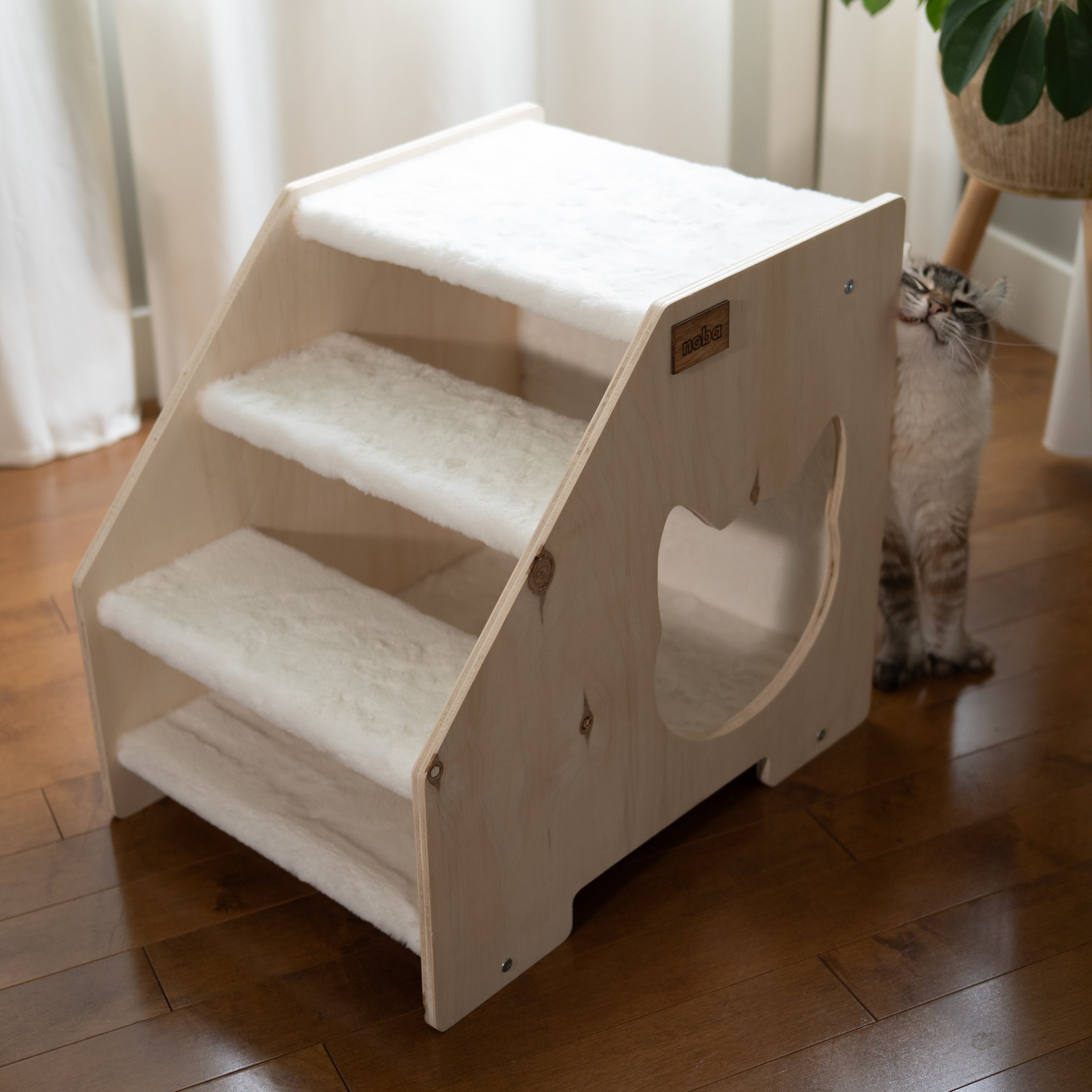 Modern wooden cat stairs with hideaway in a contemporary home