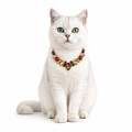 White cat wearing a colorful gemstone necklace on a white background