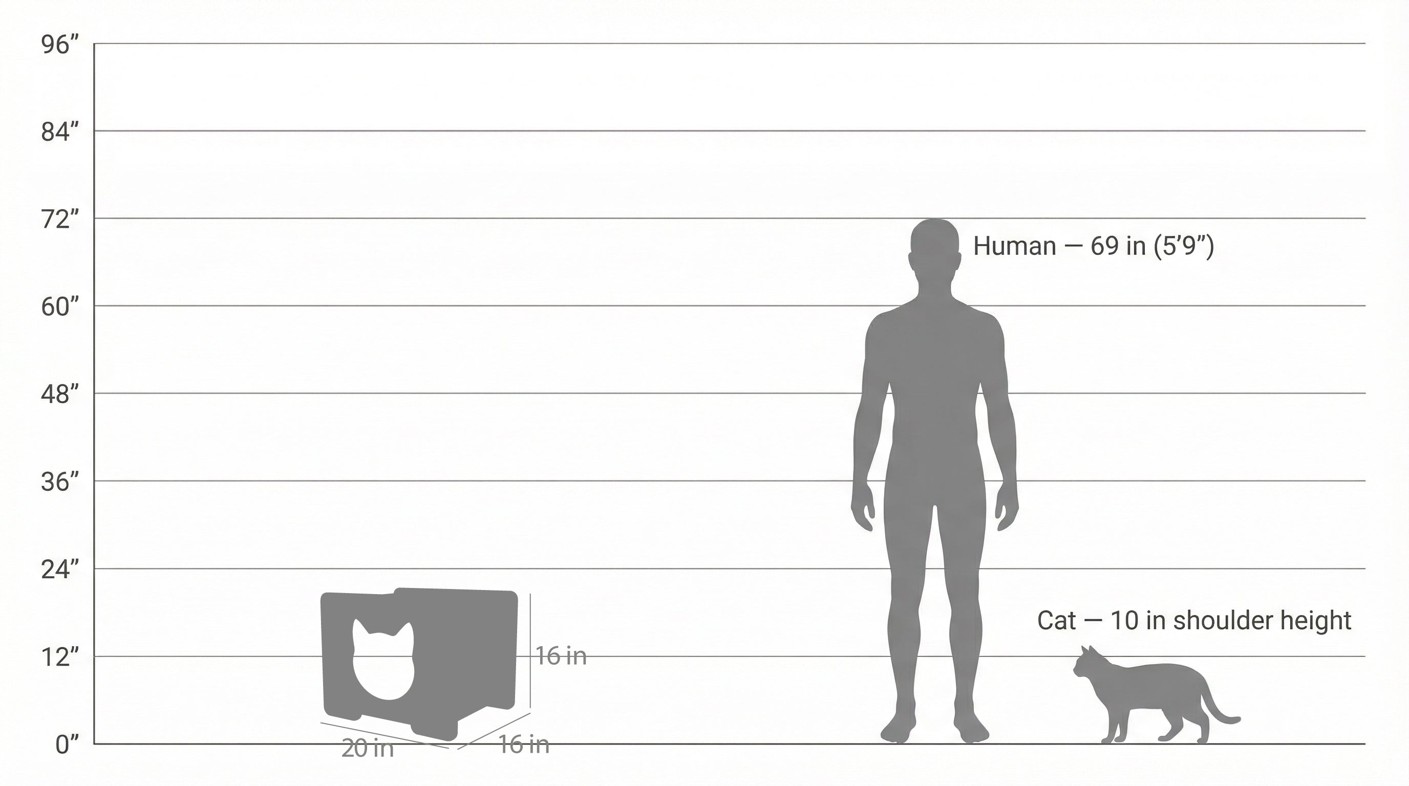 Diagram comparing the height of a human, a cat, and a box on a white background