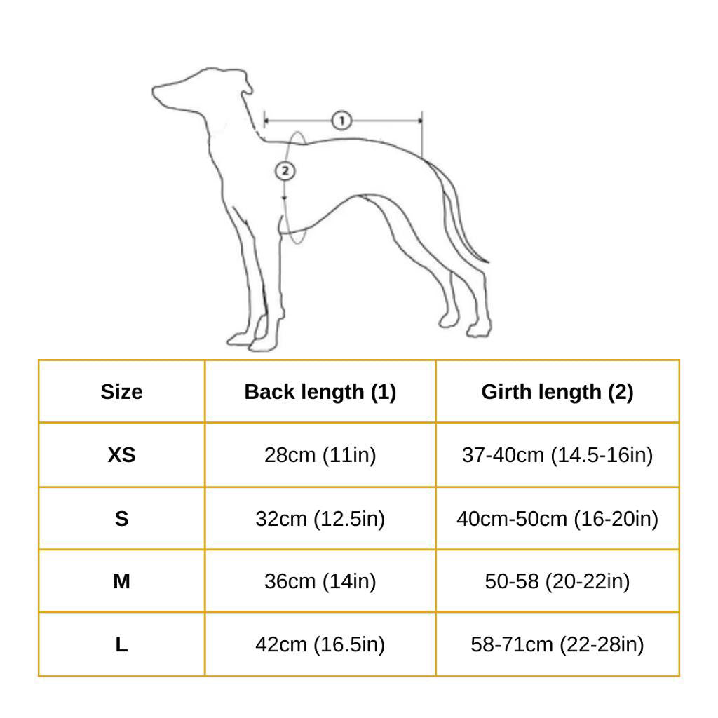 Black Dog Rain Jacket | Waterproof Insulated Dog Coat with Matching Leash