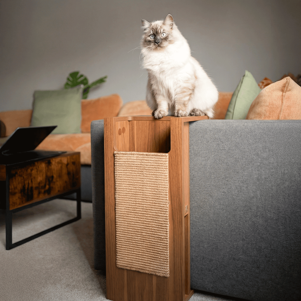 Jewl Nesting Table + Cat Scratcher