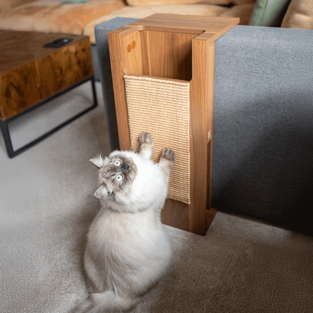Jewl Nesting Table + Cat Scratcher